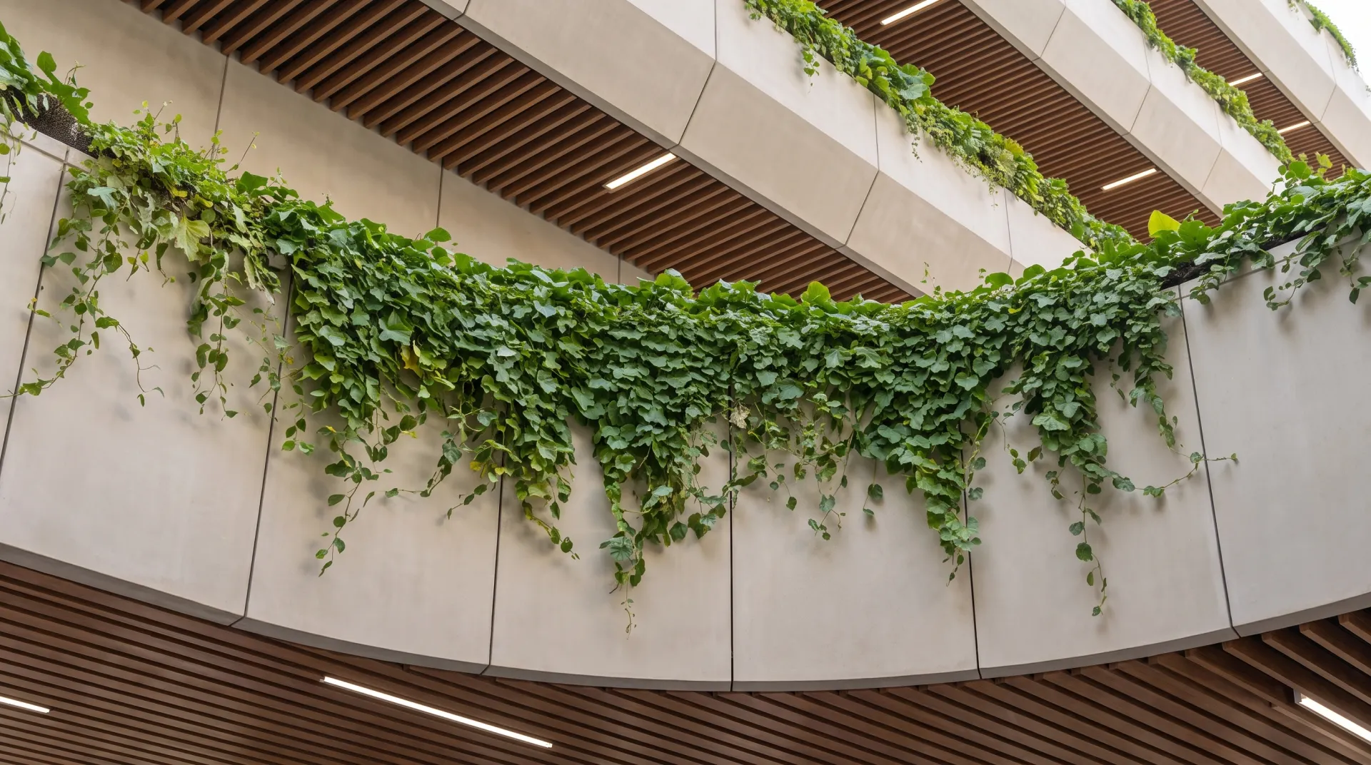 St. Andrew's Medical Center por Básico Arquitectura