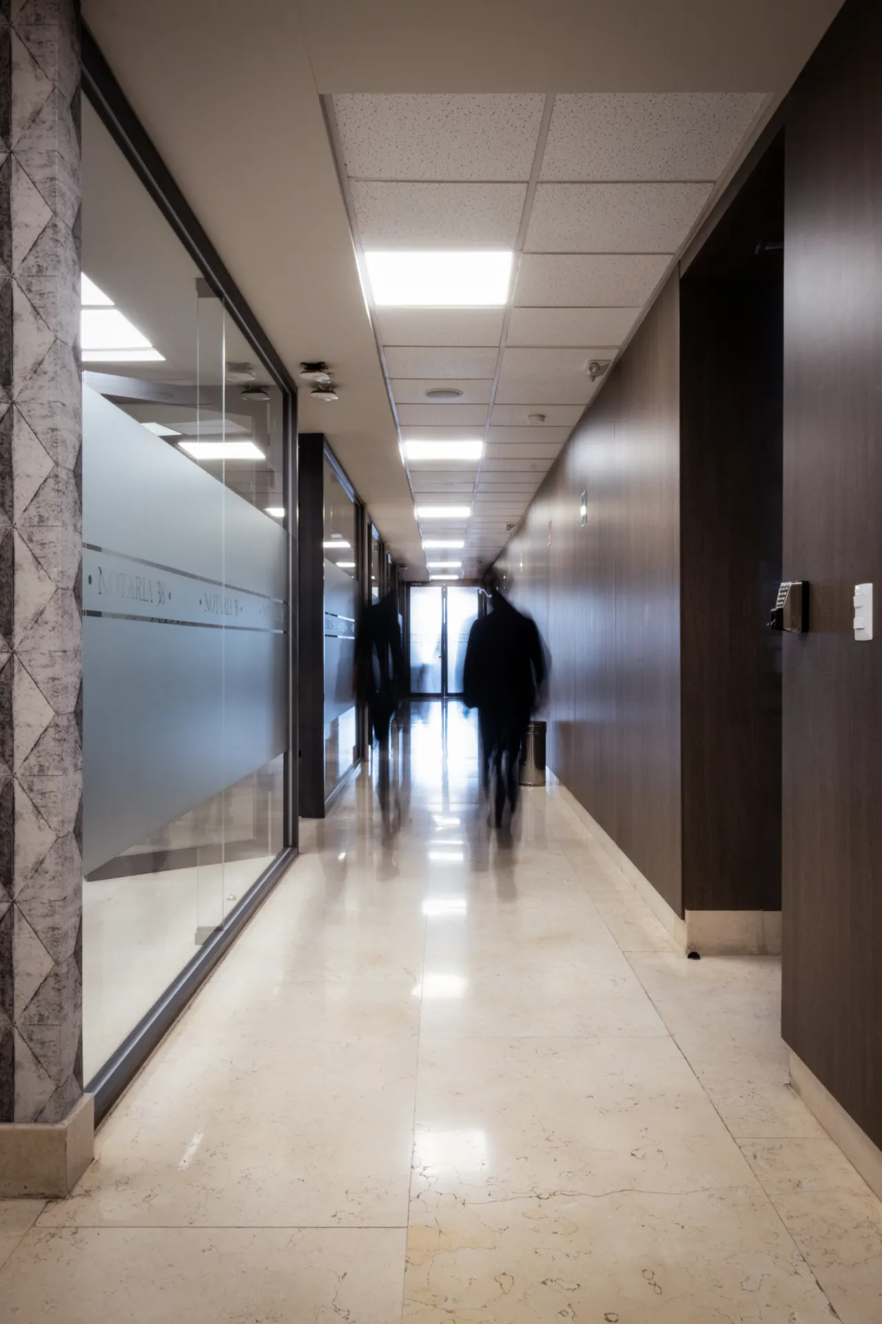 Notarías 38 y 76 por Básico Arquitectura